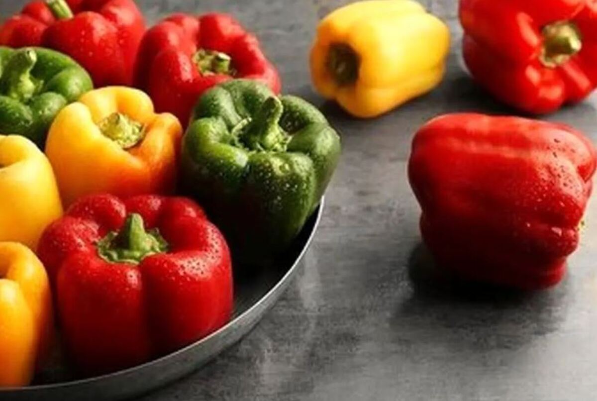 با یکی از اصلی‌ترین منابع تامین ویتامین C بیشتر آشنا شوید