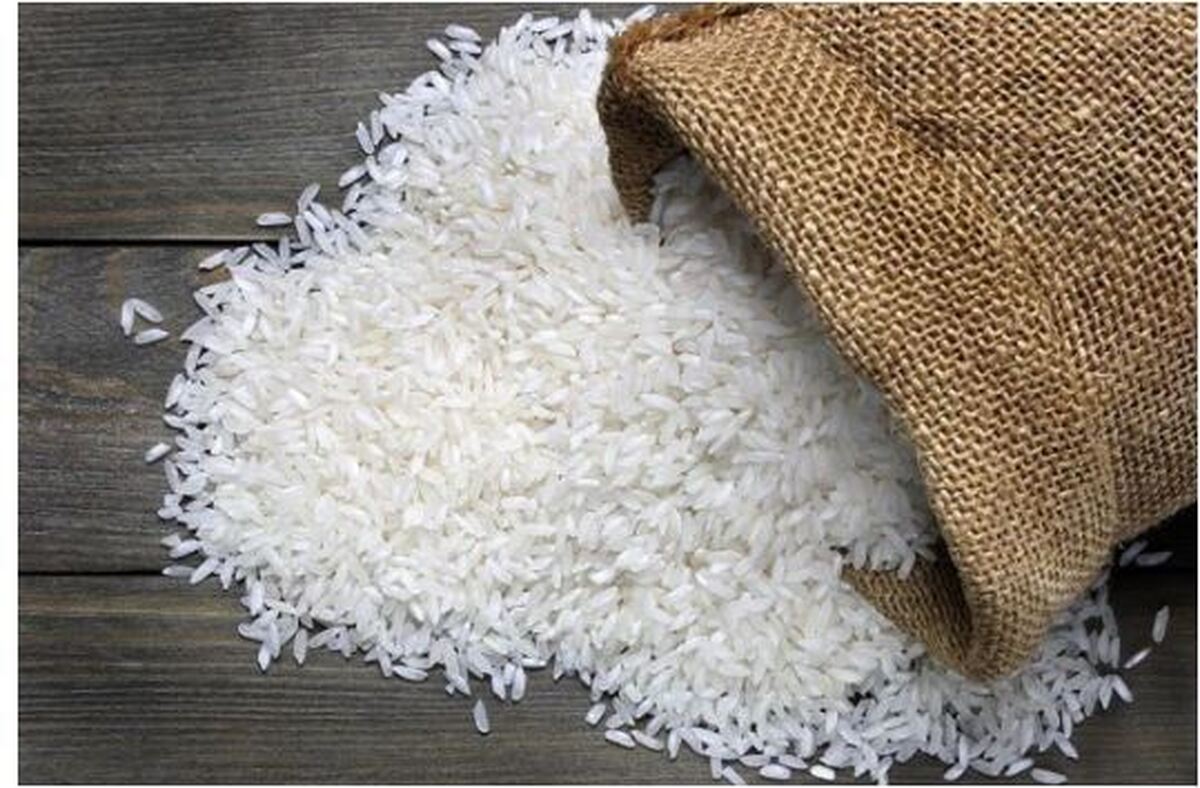 افزایش باور نکردنی قیمت برنج شوک جدیدی به ایرانی‌ها وارد کرد