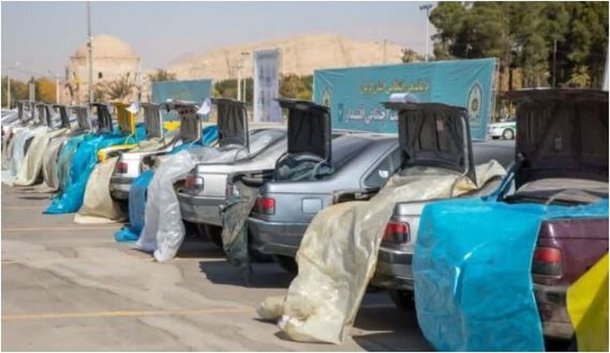 ۳ هزار دستگاه انواع خودروی شوتی در دو استان فارس و کرمان توقیف شدند