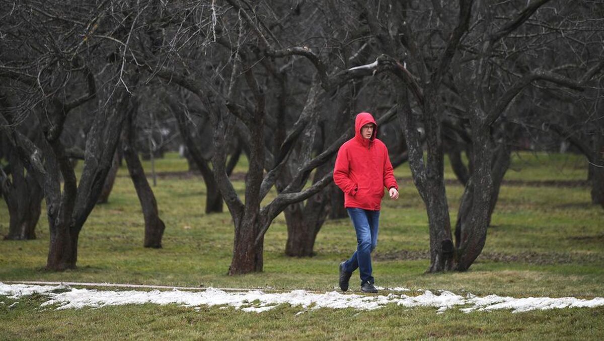 دانشمندان نسبت به افزایش زمستان‌های بدون برف تا پایان قرن هشدار داده‌اند
