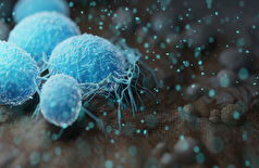 ویروسی که در بیشتر افراد رایج است، ممکن است باعث بیماری مزمن ایمنی شود