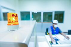 دانشمندان کار بر روی بازسازی پوست تیرانوسوروس رکس را آغاز کرده‌اند