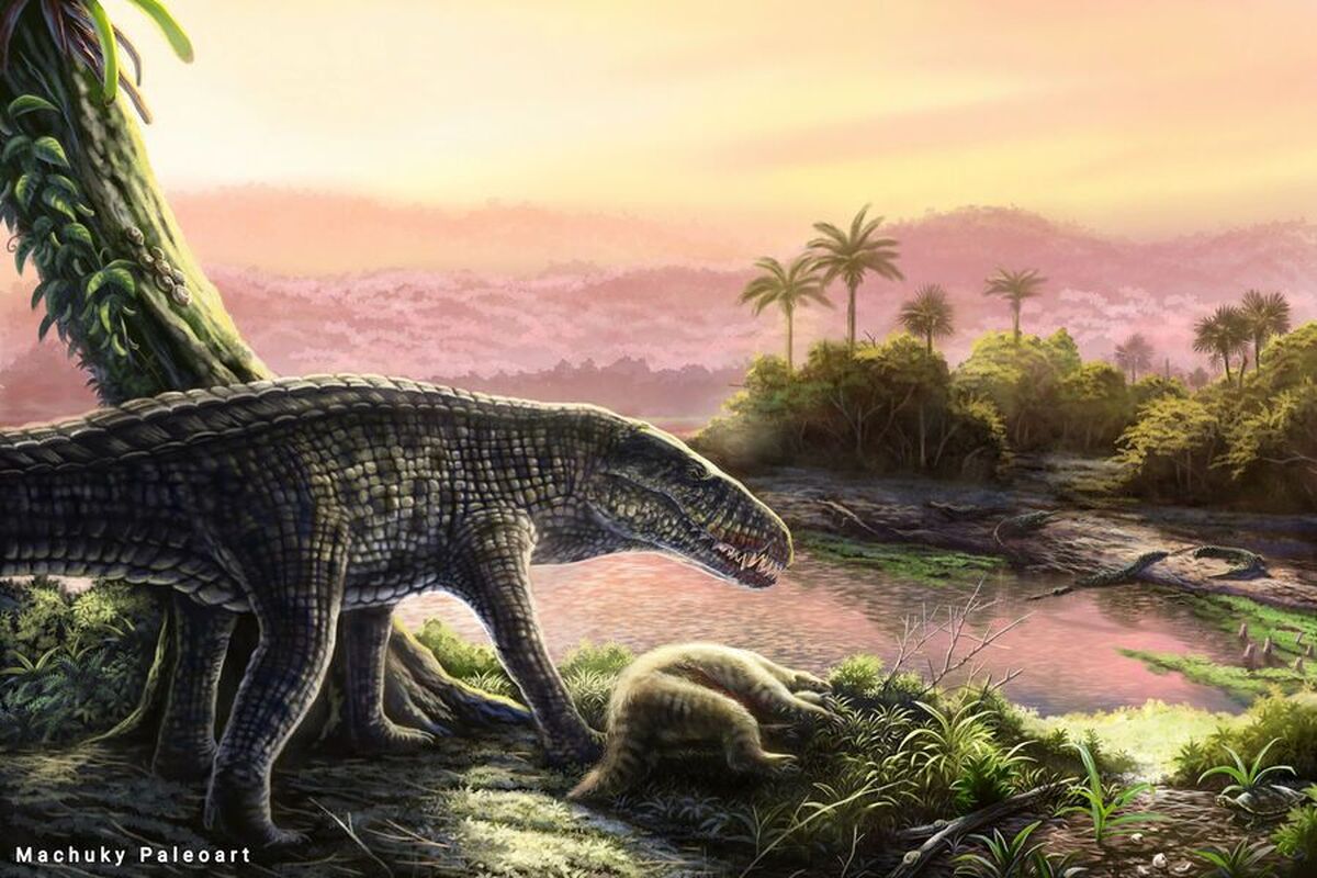 آخرین کروکودیل‌های غول‌پیکر خشکی در کارائیب پیدا شدند
