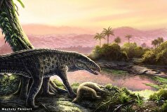 آخرین کروکودیل‌های غول‌پیکر خشکی در کارائیب پیدا شدند