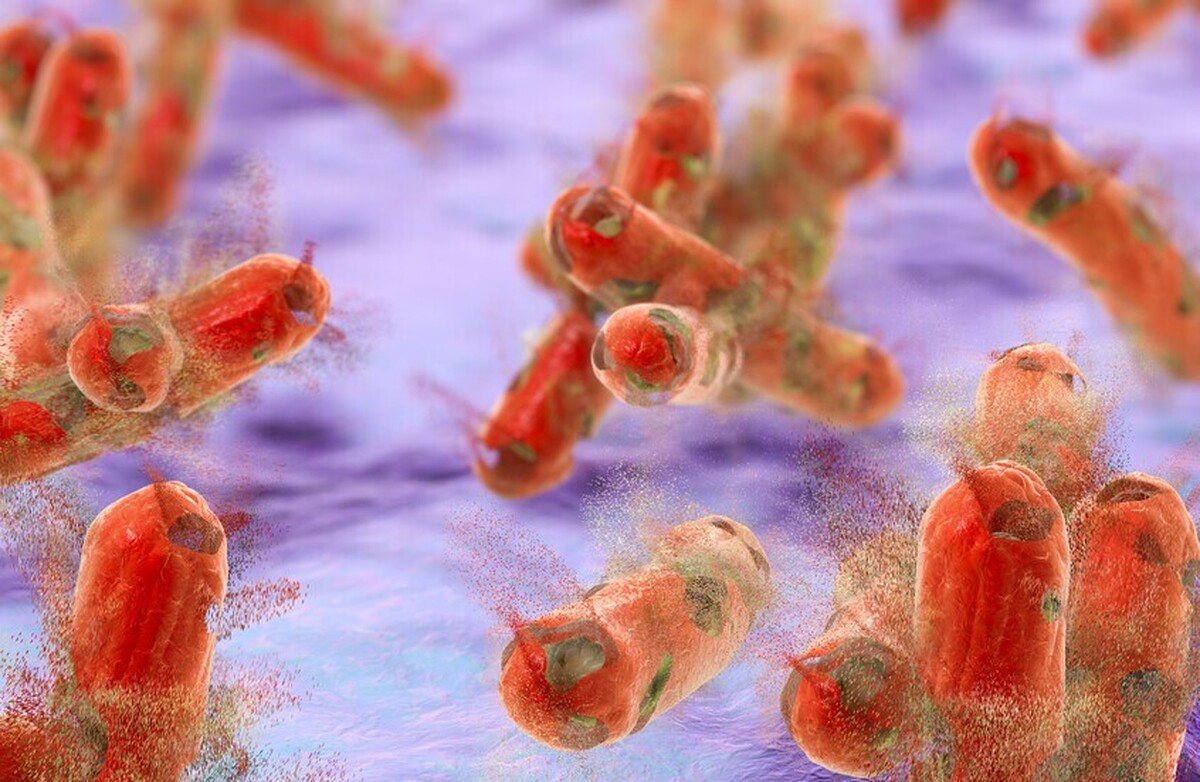 سازمان بهداشت جهانی «کشنده‌ترین بیماری‌های عفونی» جهان را معرفی کرد