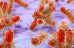 سازمان بهداشت جهانی «کشنده‌ترین بیماری‌های عفونی» جهان را معرفی کرد