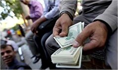 یک فعال غیرمجاز ارزی در این استان شناسایی و دستگیر شد