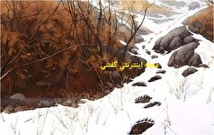 فقط یک شخص تیزبین می‌تواند زیر ۷ ثانیه خرس‌های پنهان تصویر را پیدا کند!