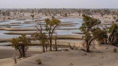 نشریه Scientific American در مورد تأثیر توافق پاریس بر گرمای شدید گزارش می‌دهد.