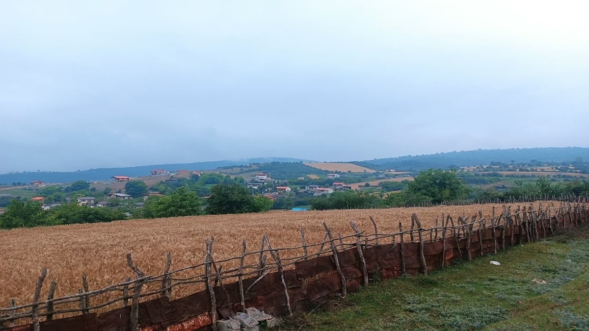 مازندران کماکان بدون بارش