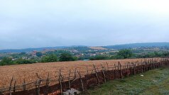 مازندران کماکان بدون بارش