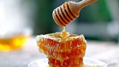 ۷ خاصیت بی نظیر و کمتر گفته شده «عسل» را بدانید