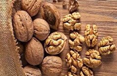 گردو، دوست دار همیشگی مهم‌ترین عضو بدن