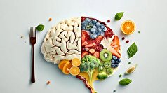 الگو‌های مناسب رژیم غذایی برای حفظ سلامت مغز