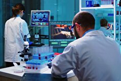 دانشمندان راهی برای رهایی بیماران دیابتی از تزریق روزانه دارو ارائه داده‌اند