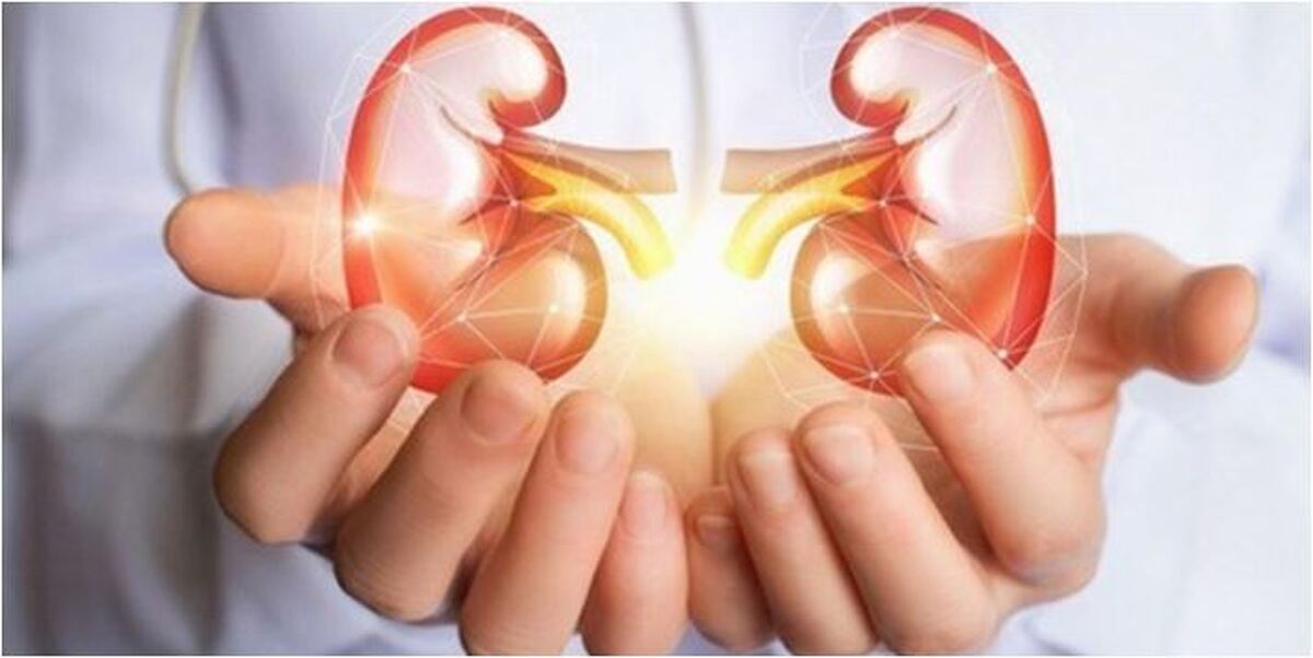 مراقب این بیماری خطرناک و بی نشانه کلیه‌ها باشید! +راه حل