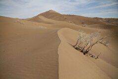کارت الکترونیکی سرمایه‌گذاری در اختیار سرمایه‌گذاران داخلی و خارجی در همایش بین‌المللی گردشگری بیابان لوت قرار گرفت