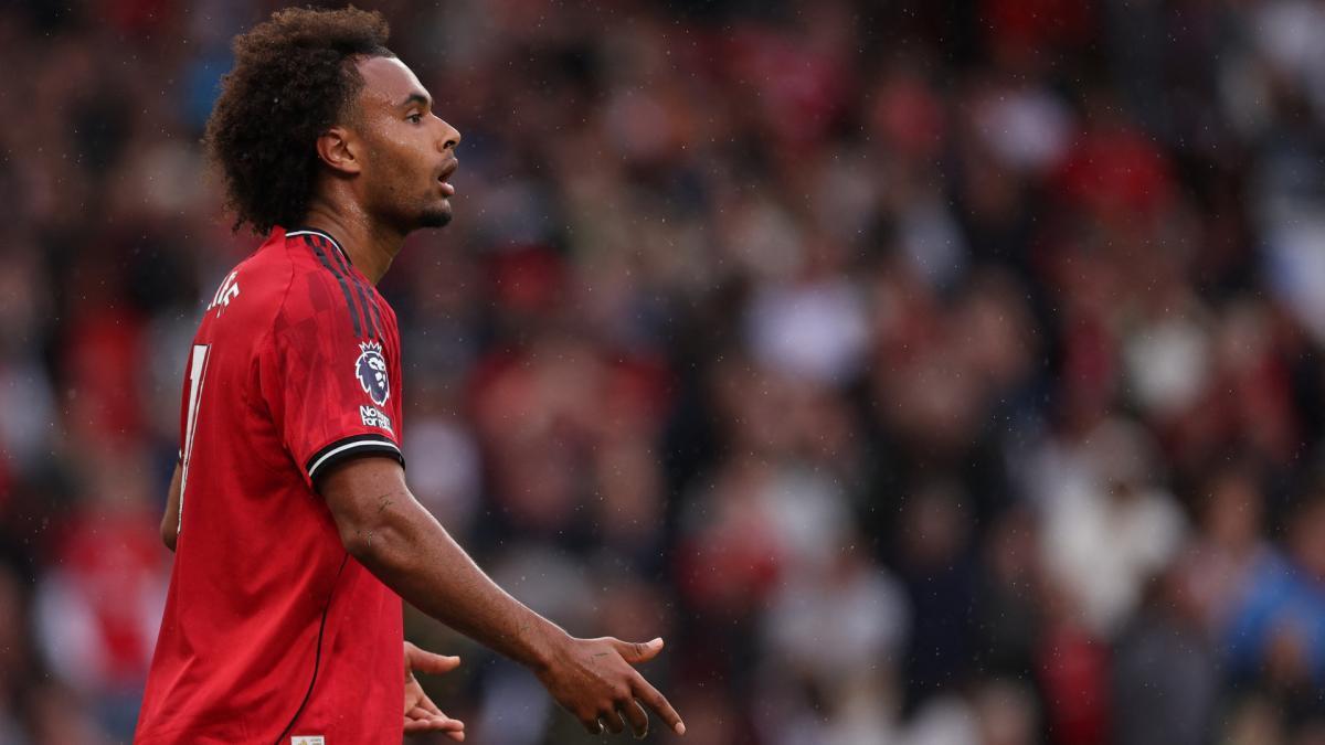 جاشوا زیرکزی، خرید جدید