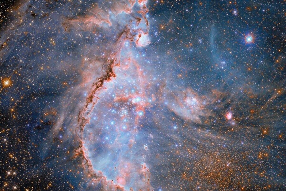 ستاره‌شناسان یک خانواده ستاره‌ای «ناکارآمد» را در کهکشان راه شیری کشف کرده‌اند