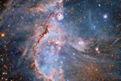 ستاره‌شناسان یک خانواده ستاره‌ای «ناکارآمد» را در کهکشان راه شیری کشف کرده‌اند