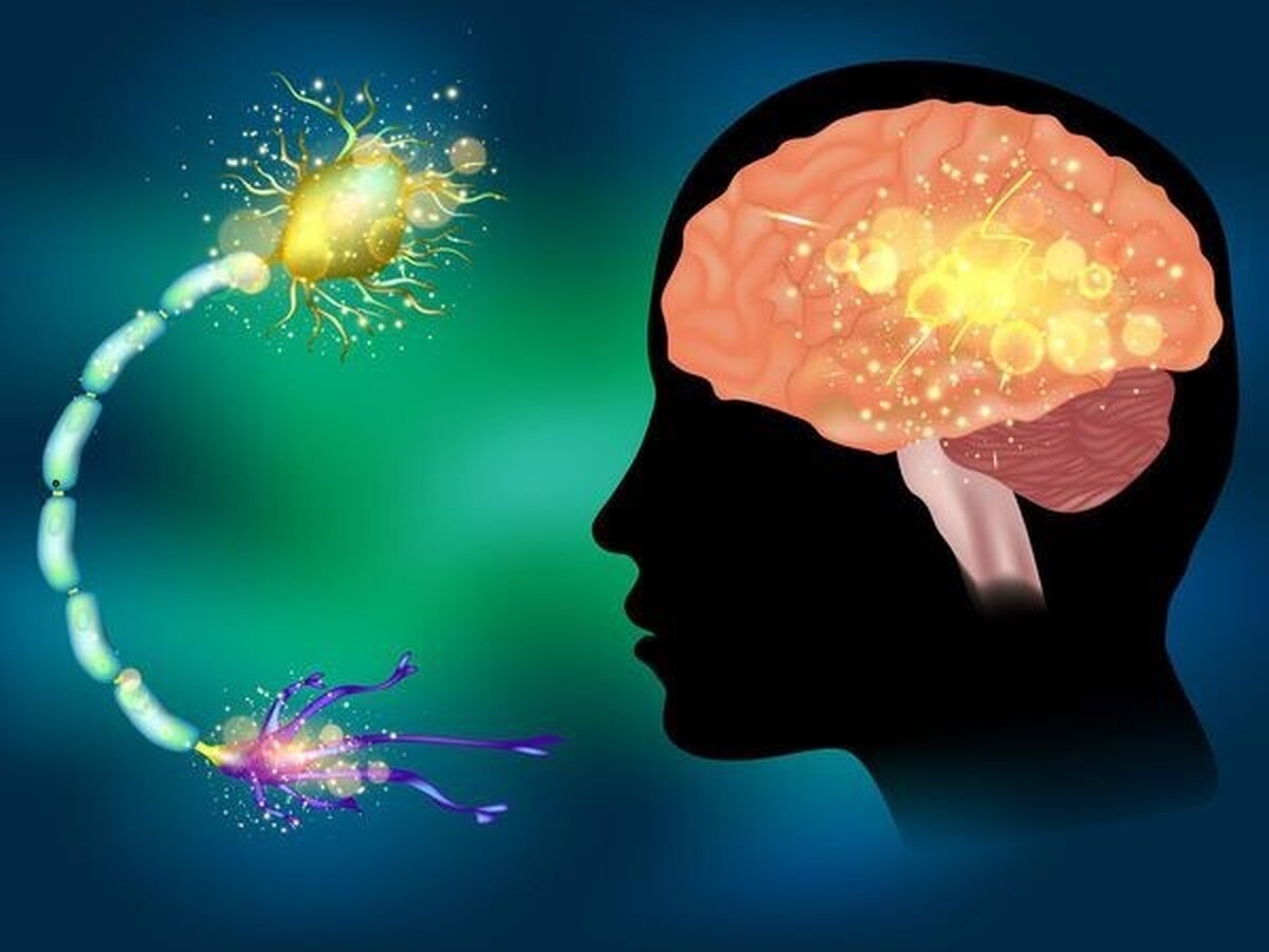 یک علت کاملاً جدید برای بیماری آلزایمر در ماده سفید مغز کشف شده است