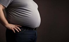 یک مطالعه خواستار اقدام فوری برای مبارزه با اپیدمی جهانی چاقی شد