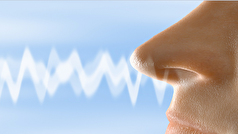 کاهش حس بویایی در سالمندی نشانه این بیماری جدی است!