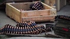 مالی اعلام کرد که به خرید سلاح‌های روسی ادامه خواهد داد.