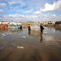 شورای امنیت درباره طرح صلح آمریکا برای غزه رأی‌گیری می‌کند