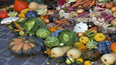 با توجه به تغییرات دمایی بهترین رژیم را انتخاب کنید!