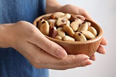 یک خاصیت خطرناک در آجیل برزیلی شناسایی شد