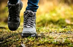 روزانه ۳ هزار قدم بزنید تا از آلزایمر در امان باشید!