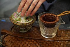 Nutrients: چای تیره پتانسیل زیادی در پیشگیری و درمان سرطان دارد