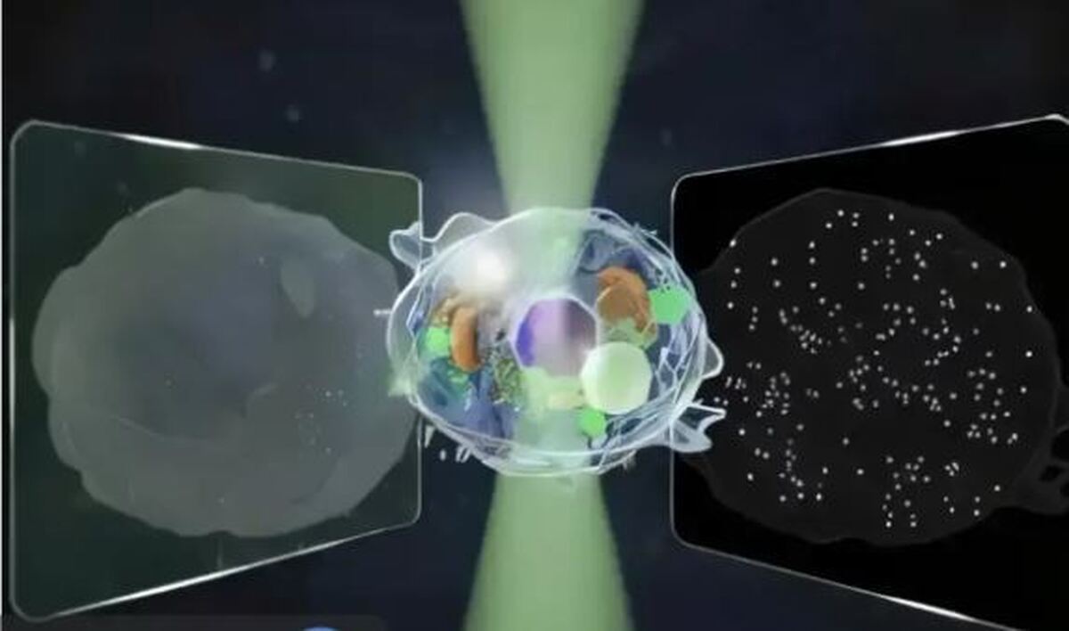 ساخت یک میکروسکوپ با دقت ۱۴ برابری توسط دانشمندان