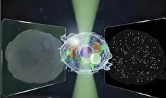 ساخت یک میکروسکوپ با دقت ۱۴ برابری توسط دانشمندان