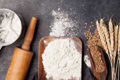 تقویت امنیت غذایی در گرو همکاری دستگاه‌های اجرایی و مراکز تحقیقاتی