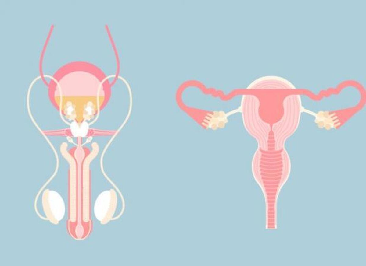 علائم ناباروری در زنان و مردان!