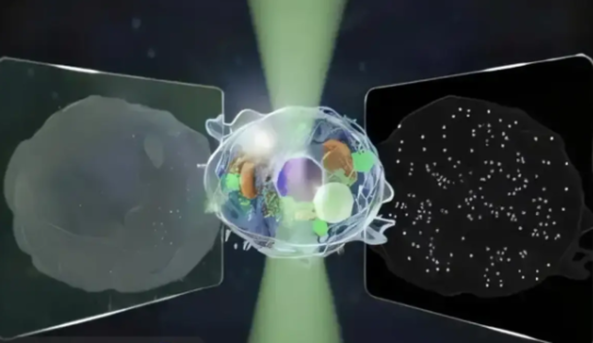 ساخت میکروسکوپی جدید با دقتی فوق العاده بالا!