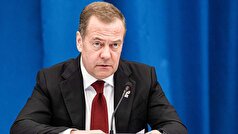 پارلمان اروپا دیدار نمایندگان پارلمان اروپا با مدودف را مهم خواند.