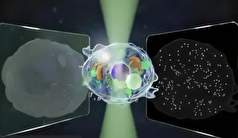 ساخت میکروسکوپی جدید با دقتی فوق العاده بالا!