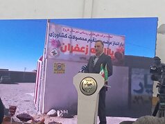 آنجفی: ظرفیت صادرات زعفران ایران تا ۸ میلیارد دلار برآورد می‌شود