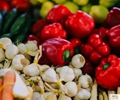 دستگاه گوارش به چه ویتامینی نیاز دارد؟