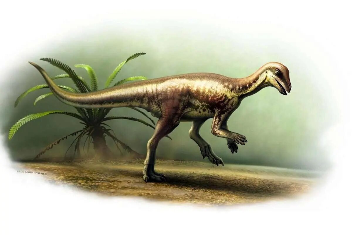 کشف گونه جدید از دایناسور‌ها با ابعاد کوچک و سرعتی حیرت انگیز