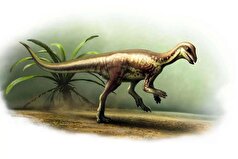 کشف گونه جدید از دایناسور‌ها با ابعاد کوچک و سرعتی حیرت انگیز