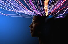 یک مهارت فرهنگی که ممکن است کلید محافظت از مغز و بدن در برابر پیری باشد