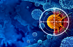 پیری ممکن است به بدن یک دفاع غیرمنتظره در برابر تومور‌های سرطانی بدهد!