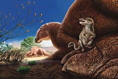 گونه جدیدی از پستانداران دوران دایناسور‌ها در مغولستان کشف شد