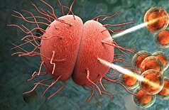 هشدار یک متخصص درباره شیوع «ابرباکتری‌ها»