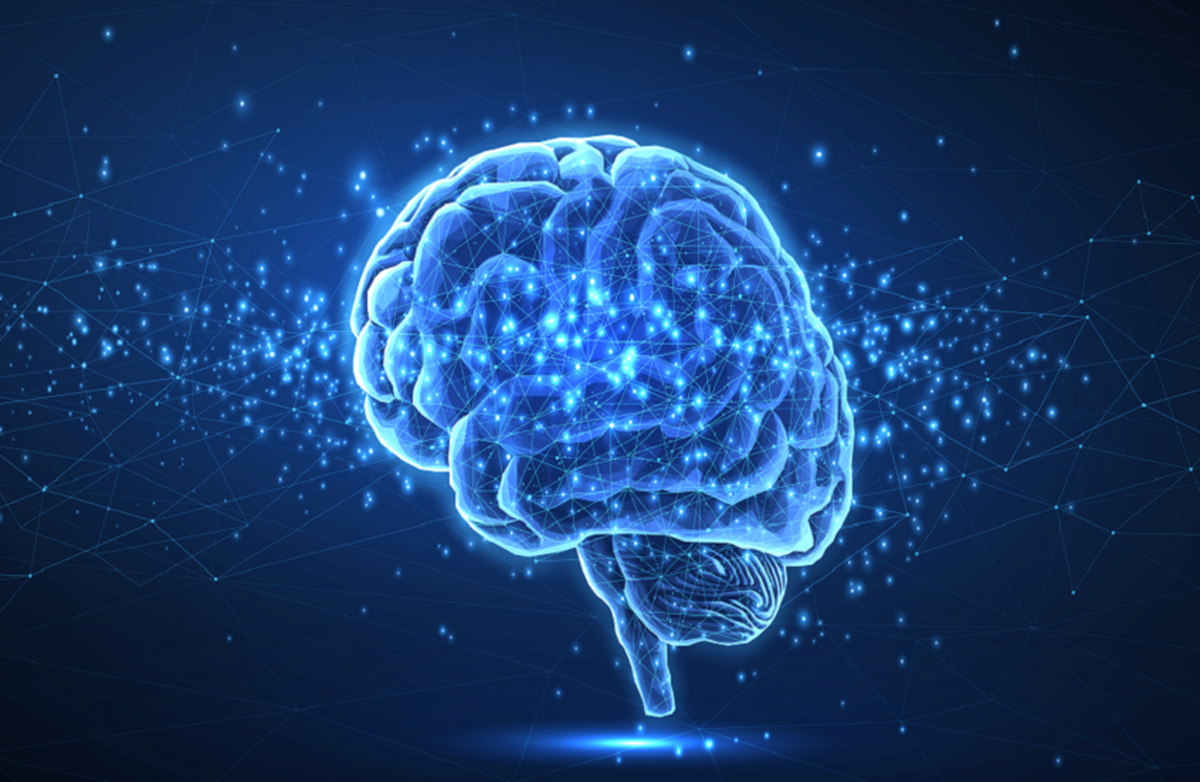 غذا‌ها و نوشیدنی‌هایی که سلامت مغز را تهدید می‌کنند و خطر زوال عقل را افزایش می‌دهند