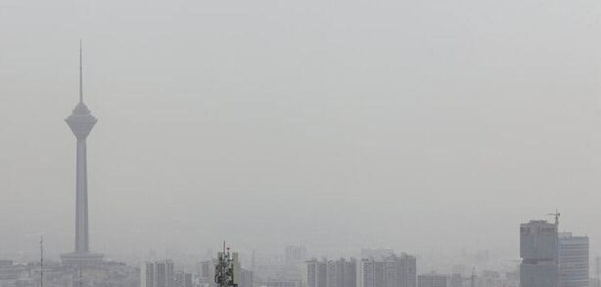 ذرات معلق هوای تهران شامل چه عناصری است؟